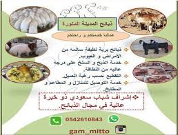 ذبائح المدينة المنورة Flavorsmed Twitter