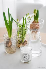 Selbst ein zuvor höchst unpersönlich wirkender flur, ein nacktes. Fruhlingsdeko Im Glas Einfache Deko Ideen Mit Blumen Blog Dreieckchen