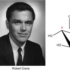 PDF) A Short History of Nuclear Medicine