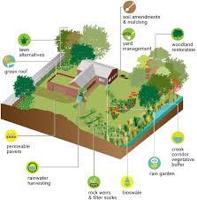 Planning a rain garden is fun and exciting! Rainscaping Guide Rain Gardens