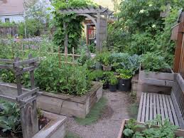 Scenes From The Garden Mid July Vegetable Garden Raised Beds Vegetable Garden Planning Vegetable Garden Design
