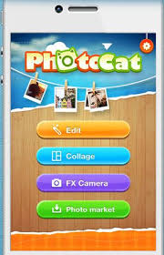 Photo Editor Photocat Free Online Photo Editing Photo Editing Learn Photo Editing Online Photo Editing