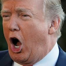 Michael Witles (@michaelwitles)