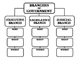 three branches of government graphic organizer