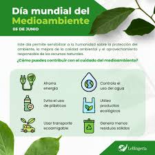 Image result for Lellingeria