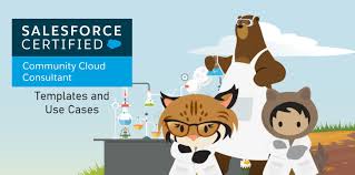 Salesforce Community Cloud Consultant Exam Preparation Templates And Use Cases