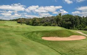 Image result for Lawsonia