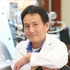 Does somebody know sample variations of extracted DNA amount from DBS?