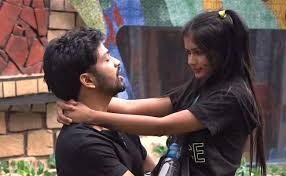 Bigg boss vote telugu 2020: Ariana And Sohel Emerge As Winners In Baby Care Center Task Telugubulletin Com