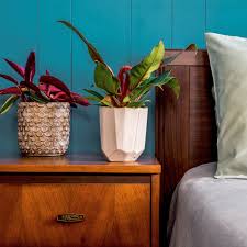 We did not find results for: Easiest Houseplants To Grow In The Bedroom