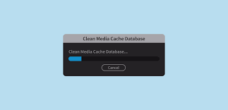Описание adobe premiere pro cc 2020 14.0.1.71 Learn How To Delete Premiere Pro Cache Data