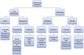 Esophagitis can cause painful, difficult swallowing and chest pain. Endoscopic Diagnosis And Management Of Swallowing Disorders Springerlink
