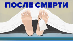 Nashe Telo Posle Smerti Youtube