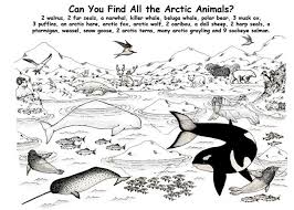 Your kids will increase their vocabulary by learning about different anima. Spot The Arctic Animals Arctic Animals Arctic Habitat Hidden Pictures