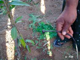 I have come to love the low maintenance solution found in a drip irrigation system. When Life Is Measured In Drops