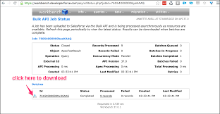 Using Workbench To Get Your Test Results Out Of Salesforce Red Argyle