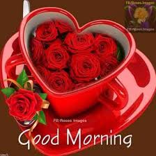 good morning photo के लिए इमेज परिणाम