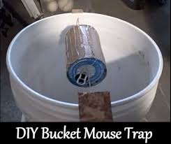 See more of drop in the bucket mouse trap on facebook. Diy 5 Gallon Bucket Mouse Trap