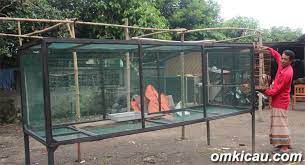 We did not find results for: Kreasi Kandang Umbaran Murah Meriah Om Kicau