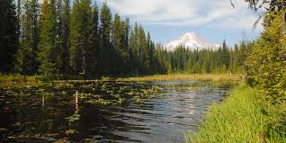North wind 5 to 8 mph. Trillium Lake Campground Outdoor Project
