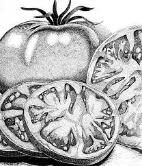 Teknik pointilisme disebut dengan teknik lukisan. Teknik Pointilis Definisi Ciri Contoh Terlengkap Fatasama Com