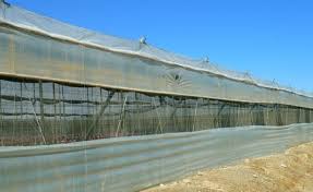 Cumpara masini de tuns iarba de la emag! Cat Costa Un Solar De 100 Mp Variante Ieftine Si Scumpe