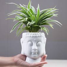 Check out the 10 in. Buddha Head Planter Ornament White Zen Ceramic Flower Pot For Succulents Plants Buddha Face Statue Fengshui Home Decoration Flower Pots Planters Aliexpress