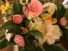 Camellia Flower Farm Flower Arrangements Flowers