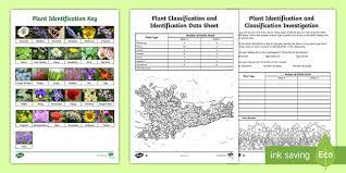 We did not find results for: Plant Classification Investigation Classifying Plants