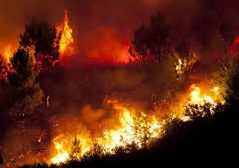 497 resultados para incendios forestales en argentina. Incendios Forestales En El Norte Desesperacion E Imagenes Impactantes