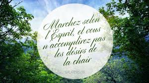 Verset Biblique