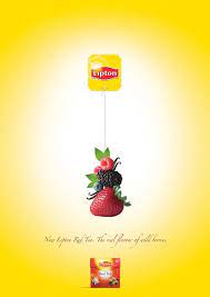 Lipton Tea Berries đồ Họa Hoa Y Tưởng