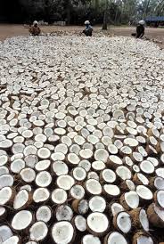 حضري خلطة جوز الهند لتبييض الأسنان wood texture