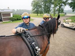 Blågult dominerar försöken till Hambletonian