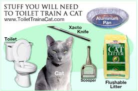 How To Toilet Train A Cat Diy Better Than From Store Cattoilettrainingdiy Cat Toilet Training Cat Training Flushable Cat Litter