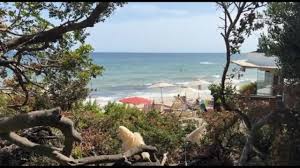 Criscanaria5 porn toys hard