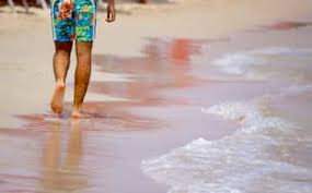 Therese of the child jesus of the holy face. Reisetipps Porto Istana 2021 Das Beste In Porto Istana Entdecken Expedia