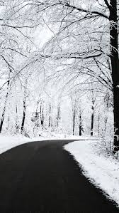 Black And White Road Wallpaper Hd Tap And Get The Free App Nature Stylish Hd Black White Road Winter Snow Trees Cold Ipho Iphone Wallpaper Winter Winter Backgrounds Iphone Winter Wallpaper