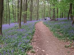 Our products combine a mixture of previously conflicting functions in such a way as to provide the user with a high degree of flexibility in order to fulfill his requirements. Baal Huckelhoven Wikiwand