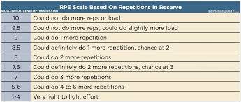 How To Keep Progressing As A Novice And Intermediate Trainee