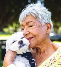 Jewish Chicago Nov 2024.indd