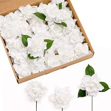We did not find results for: Buy Ling S Moment Artificial Flowers 25pcs White Gardenia Flowers W Stem For Diy Wedding Bouquets Centerpieces Flower Arrangements Decorations Online In Vietnam B07jvjrnsy