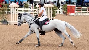 Mettere in uno stato di turbamento, di perplessità; Federazione Italiana Sport Equestri Comitato Regionale Veneto Laura Lorenzetti La Forza Della Passione