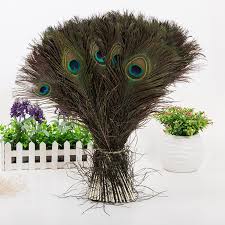 Green frame with painted peacock feathers and retro label. 100 Pieces 10 12 Natural Peacock Tail Feathers With Eyes For Diy Craft Wedding Party Bouquet Decoration Walmart Canada