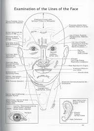 Ayurvedic Facial Diagnosis What Are The Lines On Your Face
