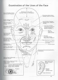 ayurvedic facial diagnosis what are the lines on your face