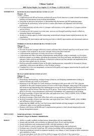 Resume in word download dcarmina. Bilingual Senior Human Resources Advisor