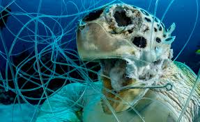 Check spelling or type a new query. Our Beautiful Ocean Umoja Wa Mataifa