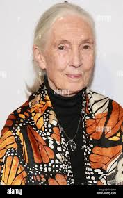 Goodall frederick hi-res stock photography and images