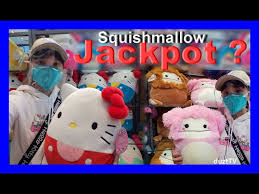 We want to ensure everyone can get what they would like. Hello Kitty Squishmallows Hunting At Mystical Gifts And Souvenirs Youtube